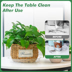 60 Pack Clear Plant Saucers for Indoors (4 6 Inch) Flower Pot Saucers for Potted Plants Plate Set Plant Trays for Indoors No Holes Plants Saucer Trays for Pots Drip Tray Plastic Tray for Succulent