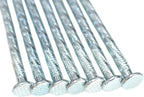 6-Inch Landscape Stakes Spiral Galvanized Landscape Spikes for Weed Barrier, Carpentry, Tent (50)