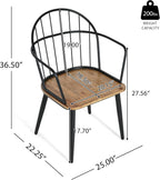 Christopher Knight Home Drats Dining Chairs Set of 2, Accent Dining Chair, Birch Finish Seating Kitchen Chair, Bucket Backrest Metal Frame Armchair, Industrial Dining Chair for Dining Room, Natural