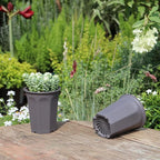BangQiao 17 PCS 3.55" Plastic Deep Nursery and Seedling Pots, Round Transplant Seed Starter Planter,Gray Color
