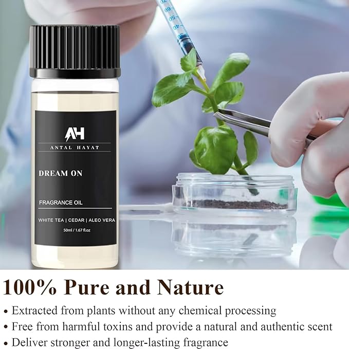 Dream On Essential Oil Scent 50mL - Inspired by Westin Hotel - Home Luxury Scent - Antal Hayat Diffuser Oil - White Tea, Cedarwood, Amber, Musk - Diffuser Oil Blends for Aromatherapy