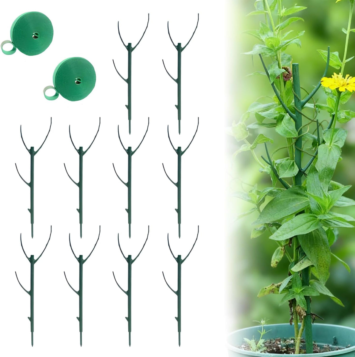 10 Pack Stackable Monstera Plant Support, Climbing Plant Support Structures, Garden Plant Support Stakes for Indoor Outdoor Plants, Plant Holder Stick Moss Pole for Support Tall Potted Plants