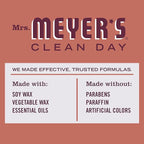 MRS. MEYER'S Clean Day Scented Soy Candle, Large, Fall Leaves Scent, 7.2 oz