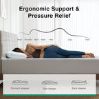 Novilla 14 Inch Queen Size Mattress, Queen Memory Foam Mattress in a Box with Cooling Wave-Cut & High-Density Support Foam for Contour Support & Motion Isolation, Medium Firm with Edge Support