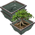 Ceramic Bonsai Pots with Drainage Hole Set of 2, Green Glazed Bonsai Planters for Indoor/Outdoor Use, Rectangular Shallow Bonzai Tree Pot for Succulent, Orchids, Cacti, Home, Patio, Garden, 6.3"x4.9"