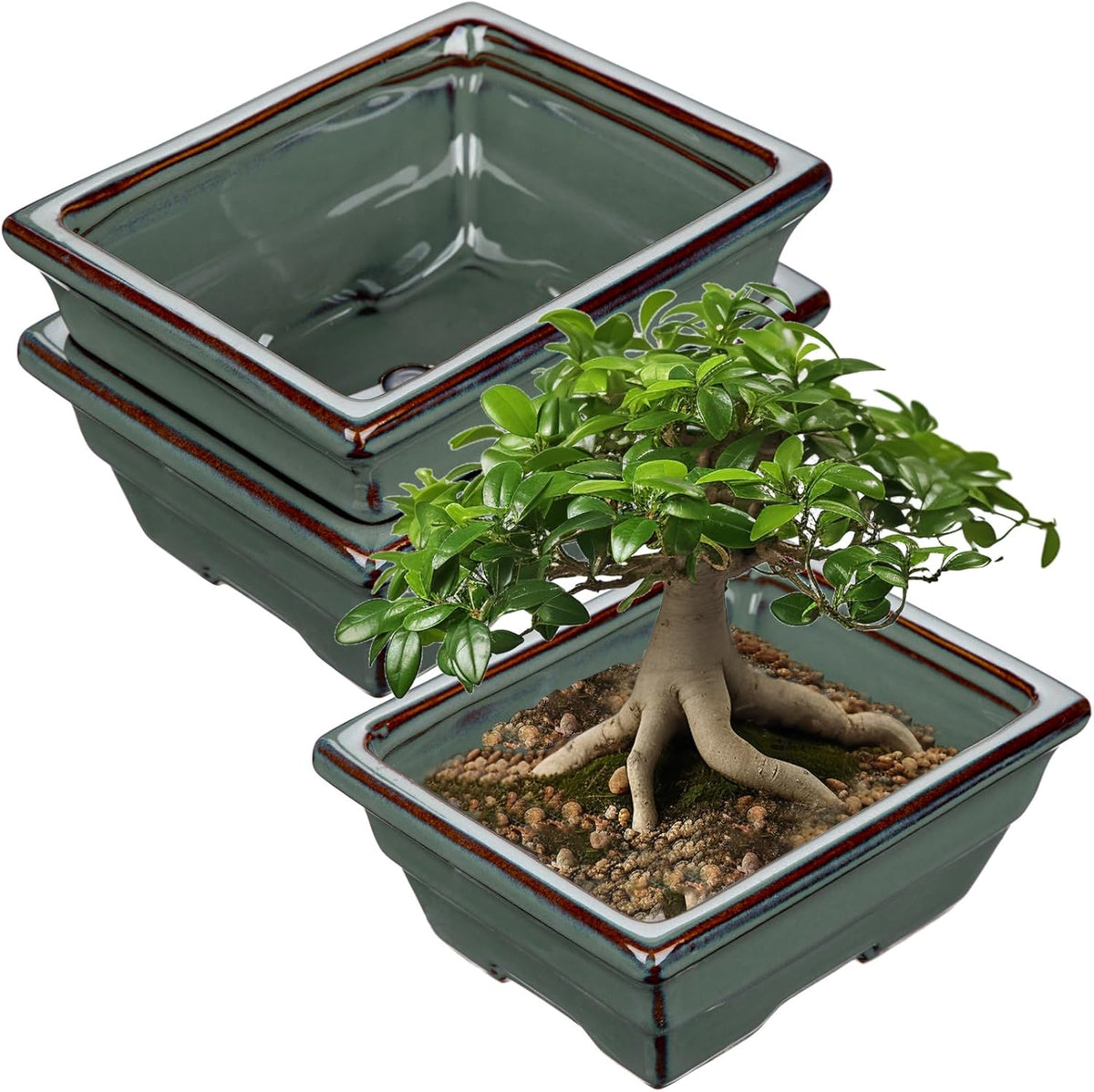 Ceramic Bonsai Pots with Drainage Hole Set of 2, Green Glazed Bonsai Planters for Indoor/Outdoor Use, Rectangular Shallow Bonzai Tree Pot for Succulent, Orchids, Cacti, Home, Patio, Garden, 6.3"x4.9"