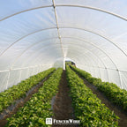 CAPHAUS 6 mil Clear Greenhouse Plastic Sheeting, 4-Year UV Resistant Polyethylene Film, Hoop House Cover for Horticulture, Gardening, Farming and Agriculture, 90% Light Transmittance, 16’ x 28’