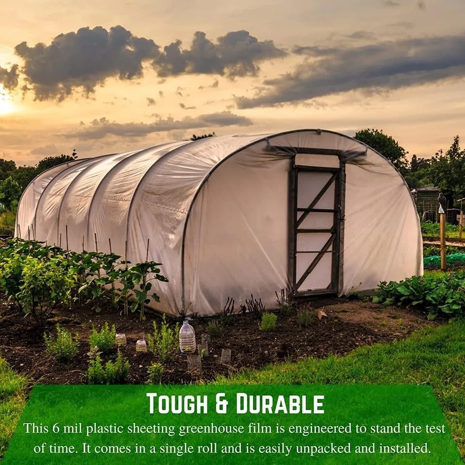 Farm Plastic Supply 4 Year Clear 6 mil Greenhouse Plastic Sheeting - Clear Greenhouse Plastic Sheeting, Polyethylene Film (36' x30')