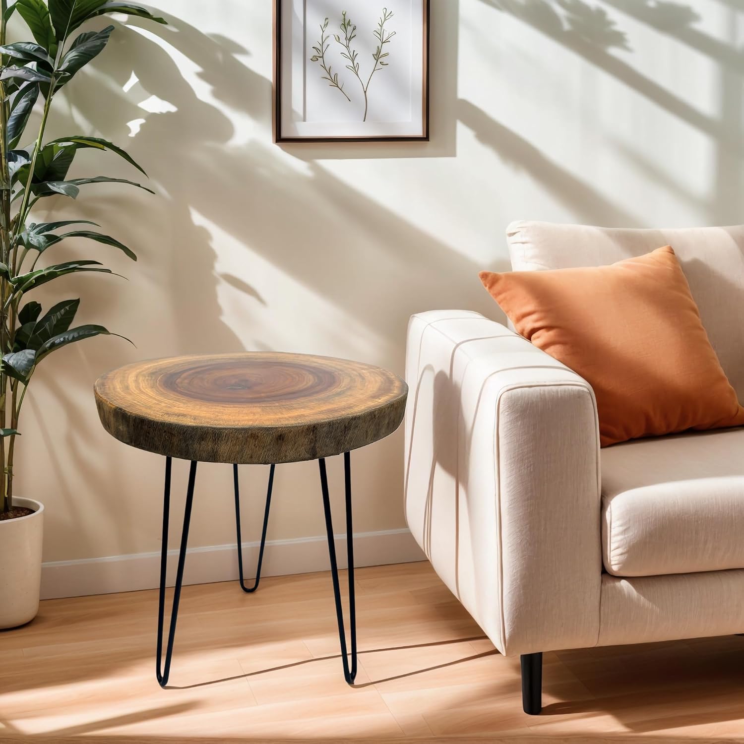 Live Edge End Table, About 15-18" W x 17" H Natural Edge Camphor Wood Stump Side Table for Living Room, Unique Desktop with Metal Hairpin Legs, Natural Wood Nightstand, Plant Stand