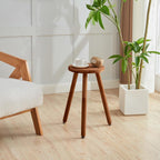 Small Round Side Table Adjustable Height Solid Wood Drink Table Indoor Tall Plant Stand Multi-Use Accent Stool-11‘’D × 20“H (Walnut)