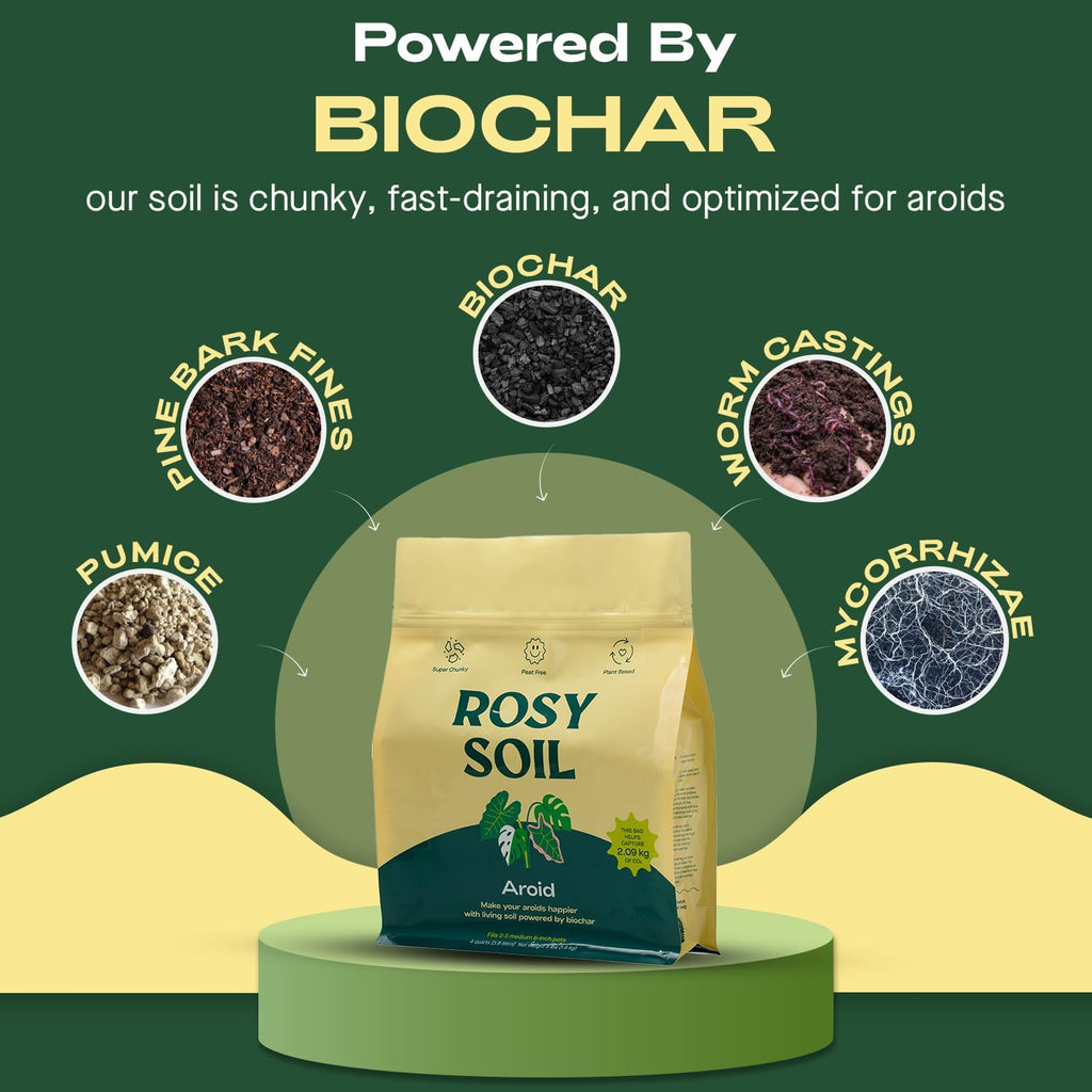 Rosy Soil Aroid Soil Potting Mix - Peat-Free, Microbially Active Biochar Powered Soil for Aroids - Superior Aeration & Drainage for Aroid Plants - Ideal for Indoor Gardening - 4 Quarts