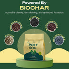 Rosy Soil Aroid Soil Potting Mix - Peat-Free, Microbially Active Biochar Powered Soil for Aroids - Superior Aeration & Drainage for Aroid Plants - Ideal for Indoor Gardening - 4 Quarts