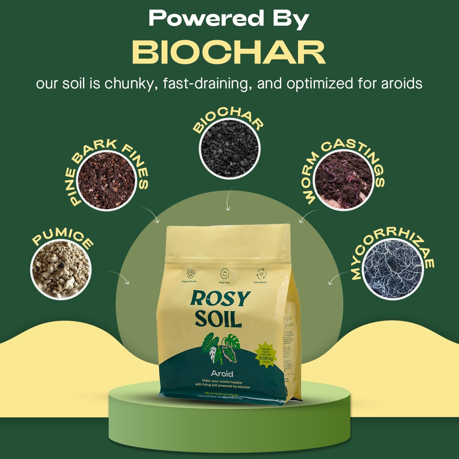Rosy Soil Aroid Soil Potting Mix - Peat-Free, Microbially Active Biochar Powered Soil for Aroids - Superior Aeration & Drainage for Aroid Plants - Ideal for Indoor Gardening - 4 Quarts