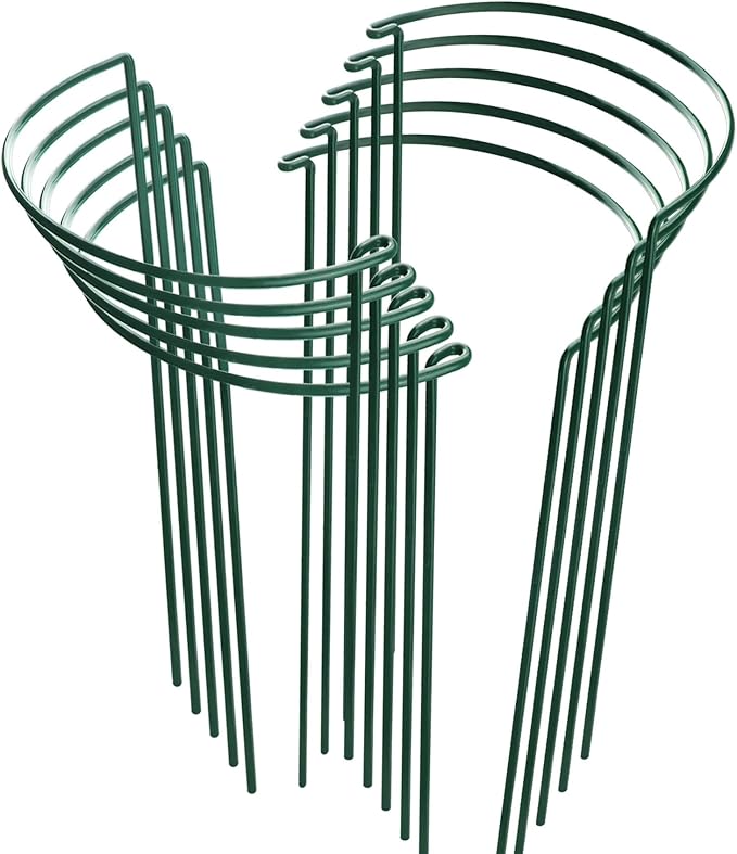 HiGift 10 Pack Peony Cages and Supports, 10" (W) x 16"(H) Plant Support, Heavy Duty Metal Plant Support Stake for Indoor Plants Half Round Garden Stakes Plant Support Ring for Hydrangea,Flower Outdoor