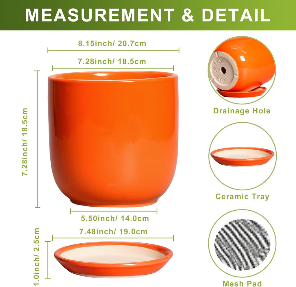Ceramic Pot for Plants - 8 Inch Plant Pot with Drainage Hole and Saucer, Cylinder Modern Round Planter for Indoor Outdoor Plants, Housewarming Gifts, Office Home Garden Decor, Orange