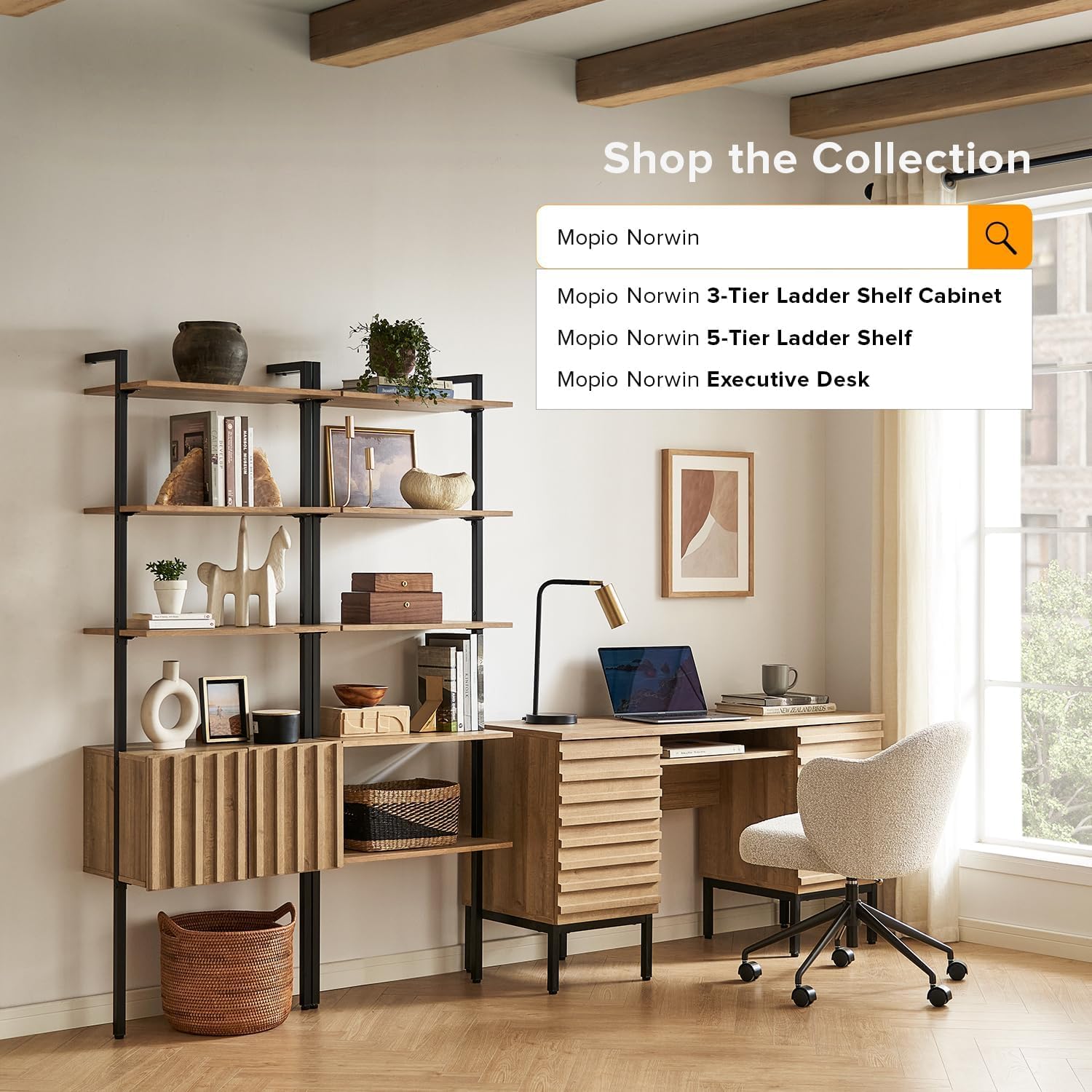 mopio Norwin Ladder Book Shelf, Wall-Mount Storage Rack, Wall Bookshelf, Farmhouse Industrial Bookcase, Narrow Slim Organizer, Steel Frame Display Shelves, Living Room, Bedroom (5-Tier Shelf Double)