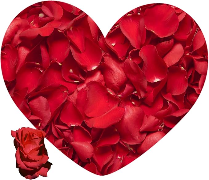 3.5 Oz Dried Rose Petals Wedding Biodegradable Petals, Natural Preservation Real Flower Petals, Suitable for Flower Petals for Flower Girl, Romantic Night, Table Decoration (Red, 100g)