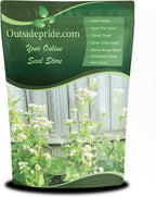 Outsidepride Buckwheat Seeds - 1oz Annual, Fast-Growing, Easy to Grow Buckwheat Cover Crop Seeds for Green Manure, Bee Pasture & Pollinators, Wildlife Habitat, Soil Improvement, and Erosion Control