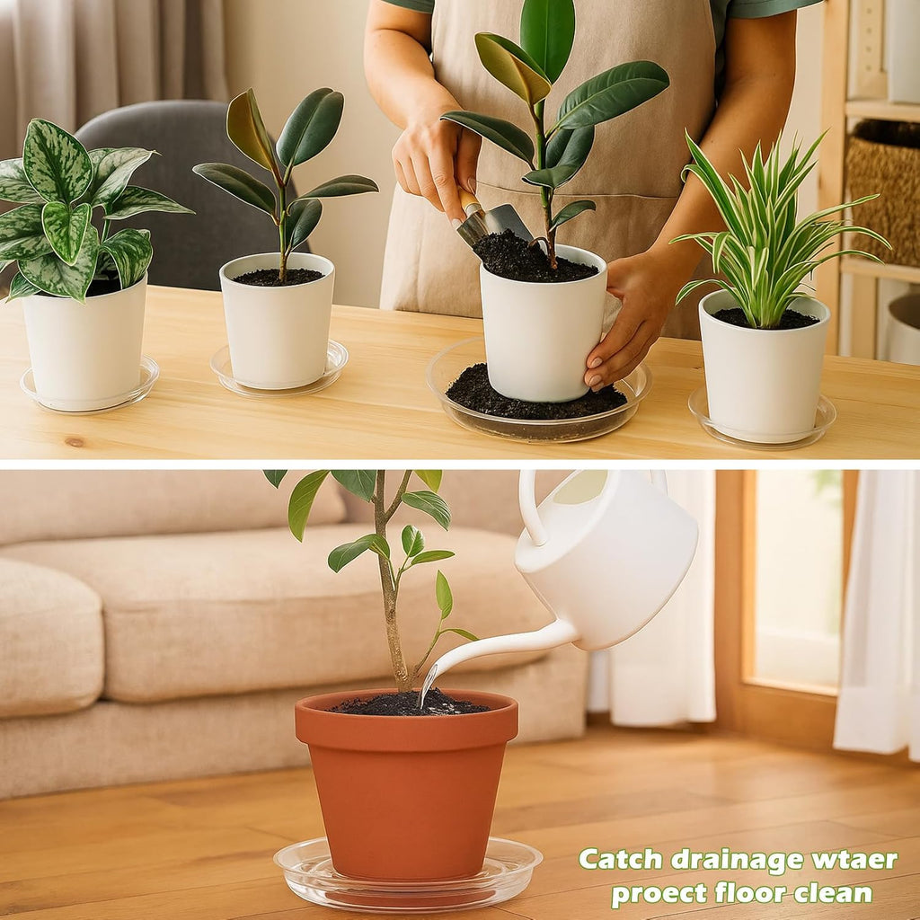 100 Packs 6 Inches Clear Plant Saucers for Indoor Outdoor Use Heavy Duty Plastic Plant Trays for Planter Bulk Flower Pot Drip Trays to Catch Water, 4 to 20 Inch