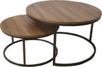 Nathan James Stella Round Modern Nesting Coffee (Set of 2), Stacking Living Room Accent Tables with Tabletops and Matte Metal Frame, Reclaimed Oak/Gunmetal