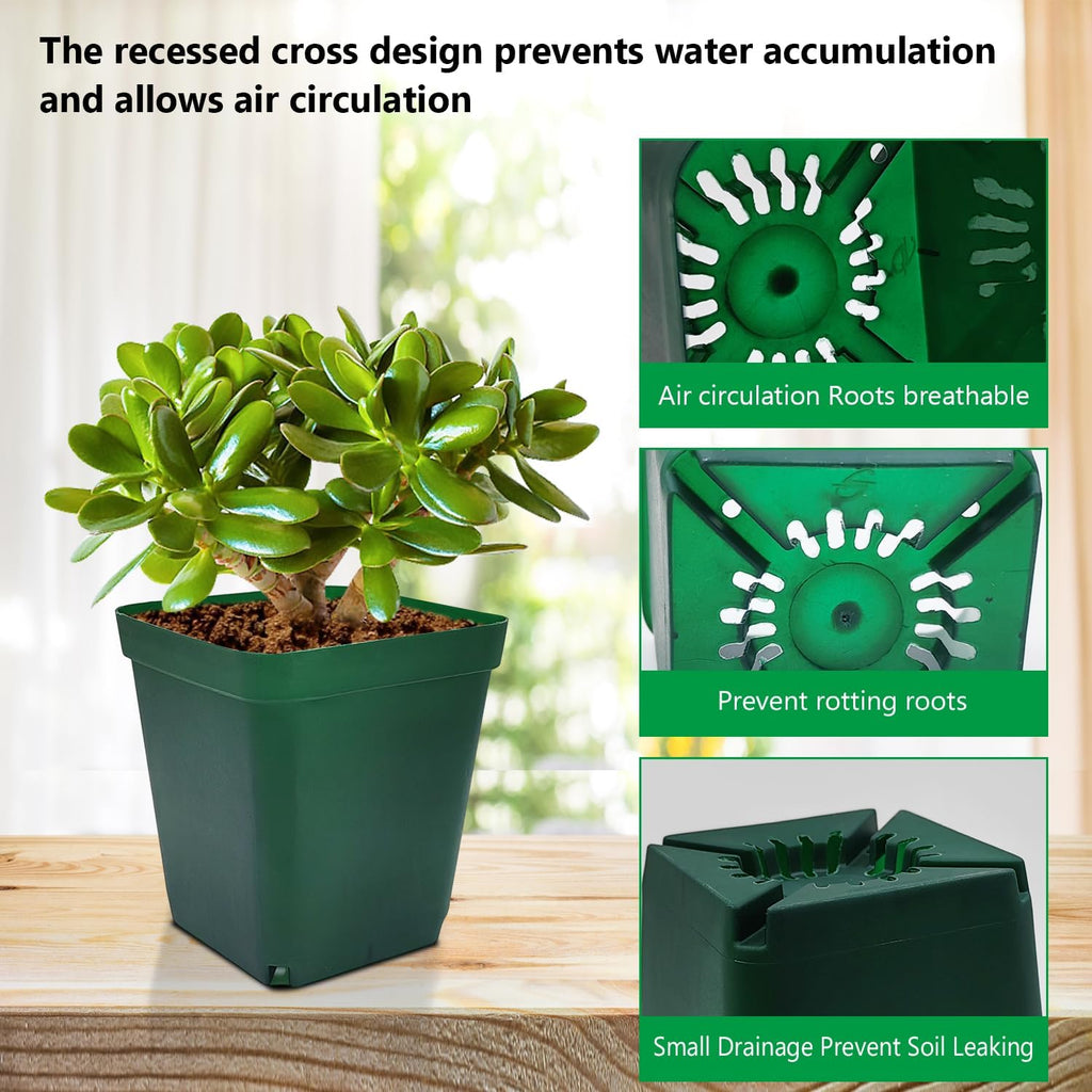 Square Seedling Nursery Pots 3.15 Inches 100 Pcs for Small Succulents or Cacti Flower Plastic Pots Sturdy Reusable (Green, 3.14Inches,100Pcs)