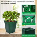 Square Seedling Nursery Pots 3.15 Inches 100 Pcs for Small Succulents or Cacti Flower Plastic Pots Sturdy Reusable (Green, 3.14Inches,100Pcs)