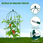 3 Pack Metal Plant Cage Support, 31.5" H Peony Support Tomato Cage Garden Rose Obelisk Trellis Supports Tower for Clematis Vine Jasmine Supports Outdoor Indoor