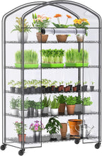 Abimars 5-Tier Greenhouse with Caster Wheel, Each Shelf Height Adjustable Metal Plant Shelf with PVC Cover for Seed Starting Trays, Seedling Pots, Plant Pots, 21x49x80inch