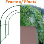 Strong Camel Greenhouse Replacement Frame for Outdoor Larger Hot Garden House , Support Arch Frame Climbing Plants/Flowers/Vegetables (6.5' x 7' x 7.2', Frame)