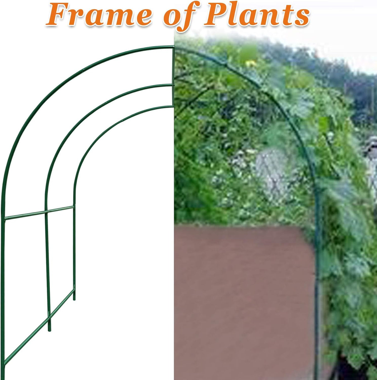 Strong Camel Greenhouse Replacement Frame for Outdoor Larger Hot Garden House , Support Arch Frame Climbing Plants/Flowers/Vegetables (6.5' x 7' x 7.2', Frame)