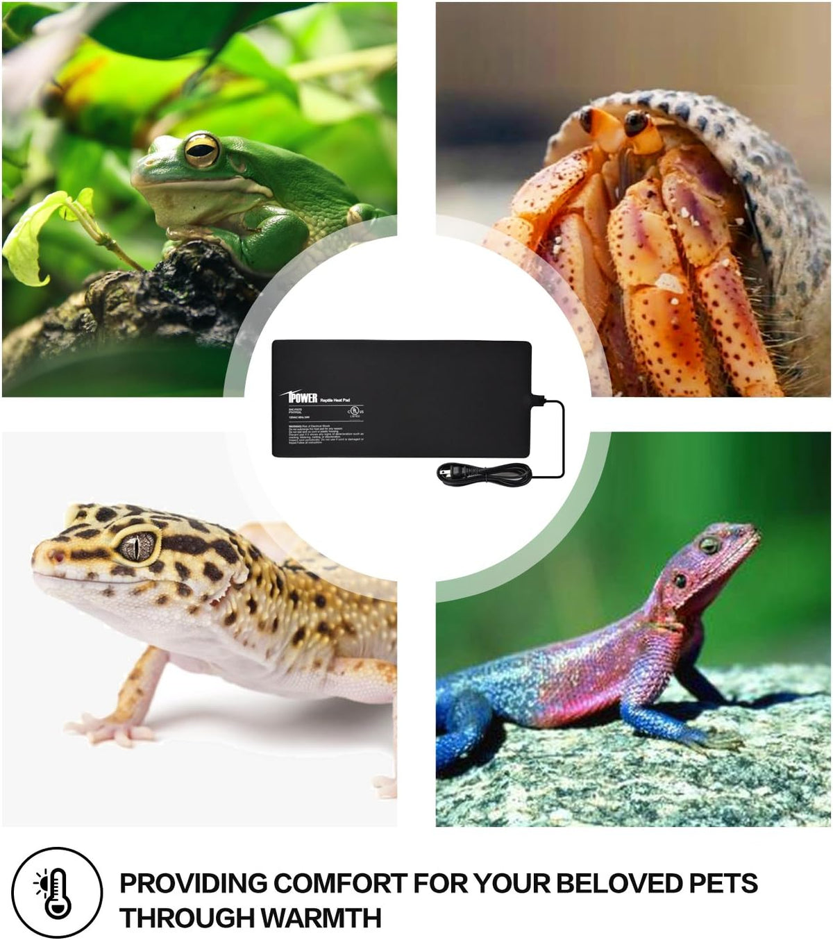 iPower 8 by 18-Inch 24W Reptile Heat Mat, Under Tank Warmer Terrarium Heat Pad for Turtles Lizards Frogs and Other Small Animals, Multi Sizes