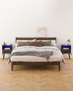 Leomonio Walnut Brown Nightstand, Modern Bedside Table with Charging Station & LED Lights, Plus Storage Drawer, Open Wood Shelf and Solid Wood Legs, for the Living Room, Bedroom & Small Spaces