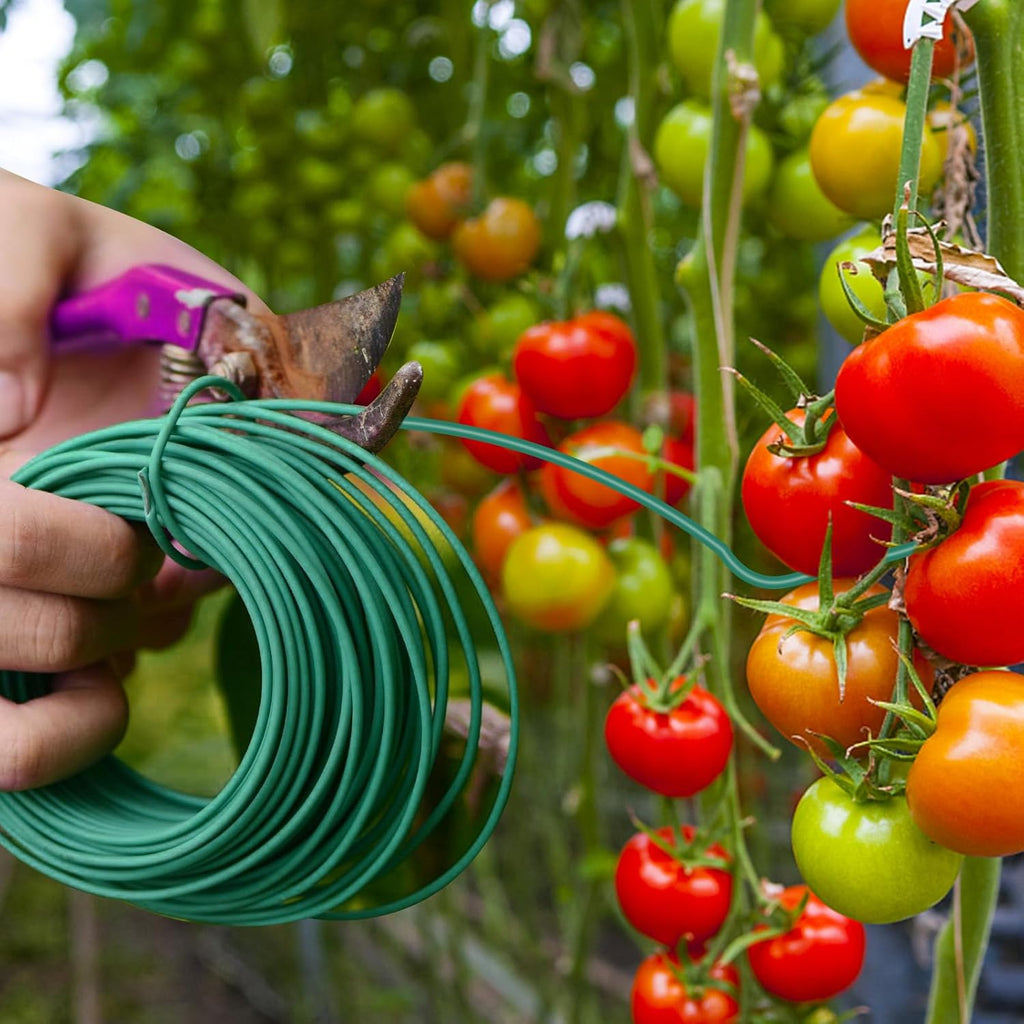 YDSL 100 Feet Soft Tie for Plants, 3 Pack Green Twist Garden Ties Gardening Supplies for Supporting Climbing Plants, Tomatoes, Vegetables, (Diameter - 2.5MM)