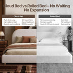 Kenhome Queen Size Boucle Cloud Bed Frame, Upholstered Platform Bed with Curved Headboard & Solid Wood Frame, Luxurious & Easy Assembly (Beige, Queen (U.S. Standard))