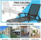 Saiveina Aluminium Cast Lounge Chair 1pcs Brown