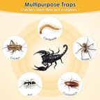Qualirey 18 Pack Scorpion Glue Tray Traps, Adhesive Scorpion Killer Indoor, Pet and Children Safe, Repellent, Insect Traps Indoor, Sticky Bug Catcher for Basement, Bathrooms and Garage