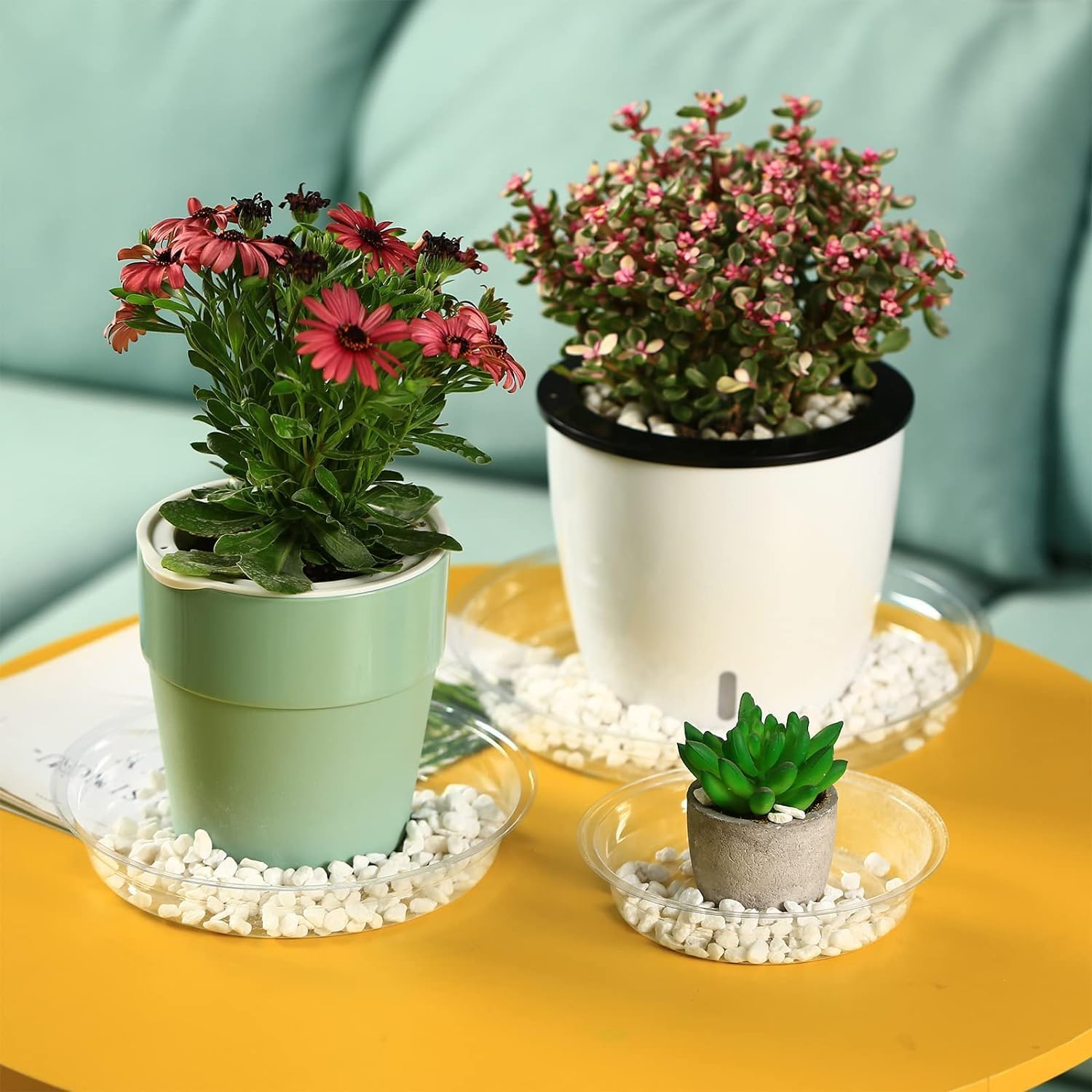 30 Packs 12 Inches Large Clear Plant Saucers for Indoor Outdoor Use Heavy Duty Plastic Plant Trays for Planter Bulk Flower Pot Drip Trays to Catch Water, 4 to 20 Inch