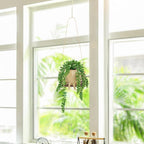 Artificial Succulents Hanging Plants Fake String of Pearls Trailing Plant in Cute Smiley Face Pot for Home Decor, Indoor Outdoor Wall Window Hanging Decorations (Includes Hanging Hook)