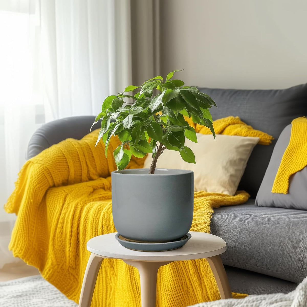Ceramic Planter for Indoor Outdoor Plants - Cylinder Decorative 8 Inch Plant Pot with Drainage Hole and Saucer, Modern Home Decor, Gray