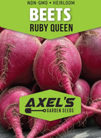 Ruby Queen Beet Seeds for Planting – Plant & Grow Heirloom Red Beets in Home Outdoor Vegetable Garden, Beta vulgaris – 2 Packets