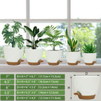 Self Watering Planters with Drainage Holes Reservoir,Nursery Planting Pot for Indoor Decor Garden Plants Succulents,Snake Plant, African Violet,Plastic Flower Pots Set 7+6.5+6+5.5+5 Inch (White)