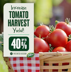 DALEN Gardeneer Tomato Tray Super Boost – Increases Tomato Plant Yield up to 40% – Easy to Install – 12" Wide x 12" deep x 3.5" high – Pack of 3