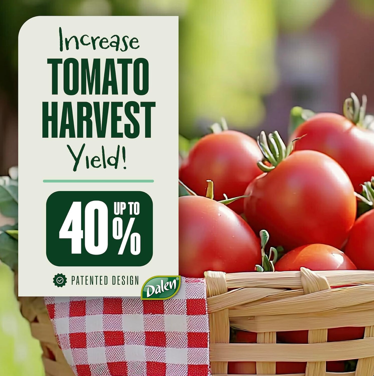DALEN Gardeneer Tomato Tray Super Boost – Increases Tomato Plant Yield up to 40% – Easy to Install – 12" Wide x 12" deep x 3.5" high – Pack of 3