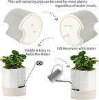 Nihow Self Watering Plant Pot: 8 Inch Ceramic Planter with Drainage Hole & Water Storage Plus for Indoor & Outdoor Plants - Cylinder Round Flower Pot for Succulent/Herbs/Violets - Cream White & Brown