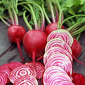 Chioggia Beet Seeds for Planting – Plant & Grow Heirloom Chioggia Beets in Home Outdoor Vegetable Garden, Beta vulgaris – 1 Packet Approx 50 Seeds