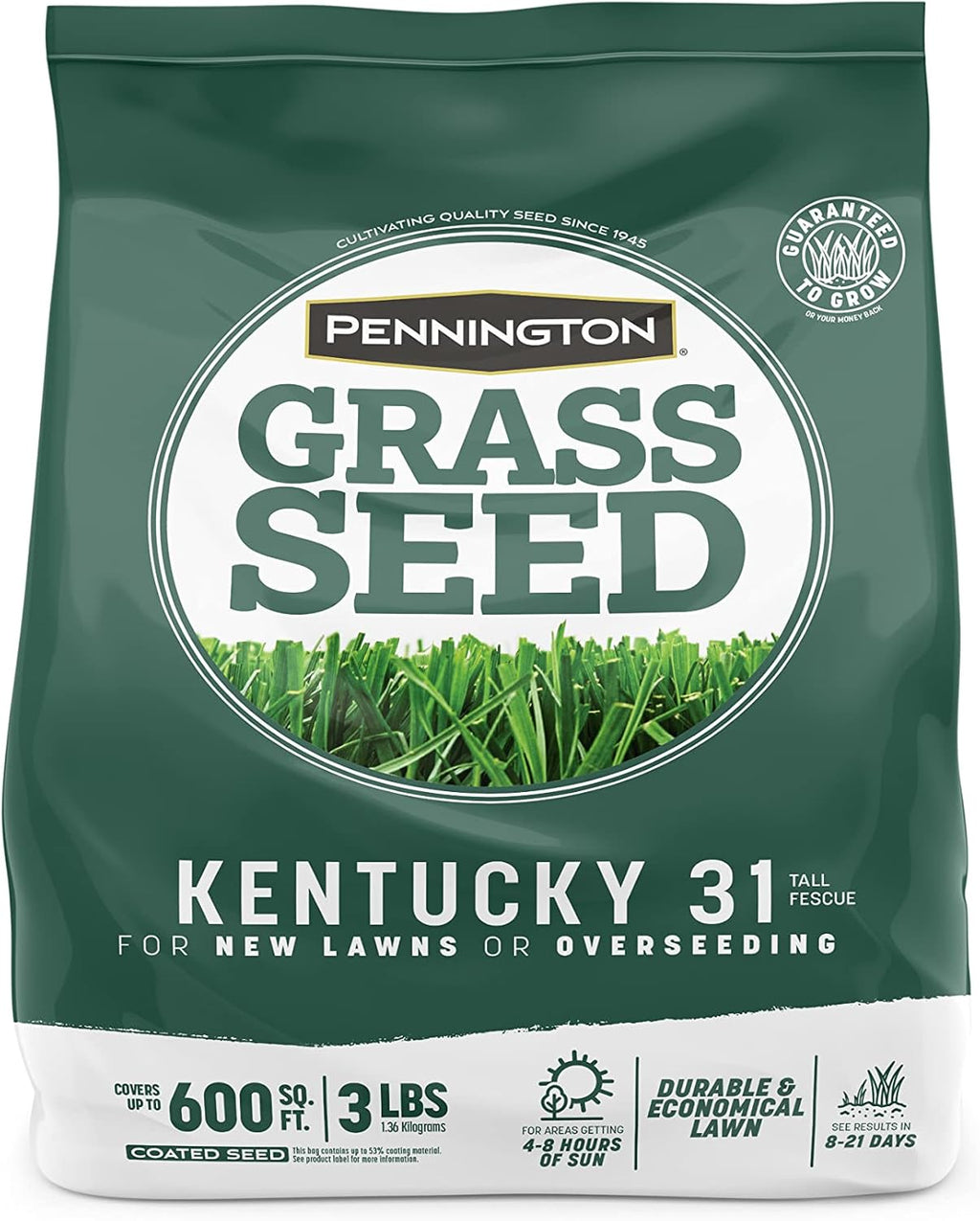 Pennington Kentucky 31 Tall Fescue Penkoted Grass Seed 3 lb