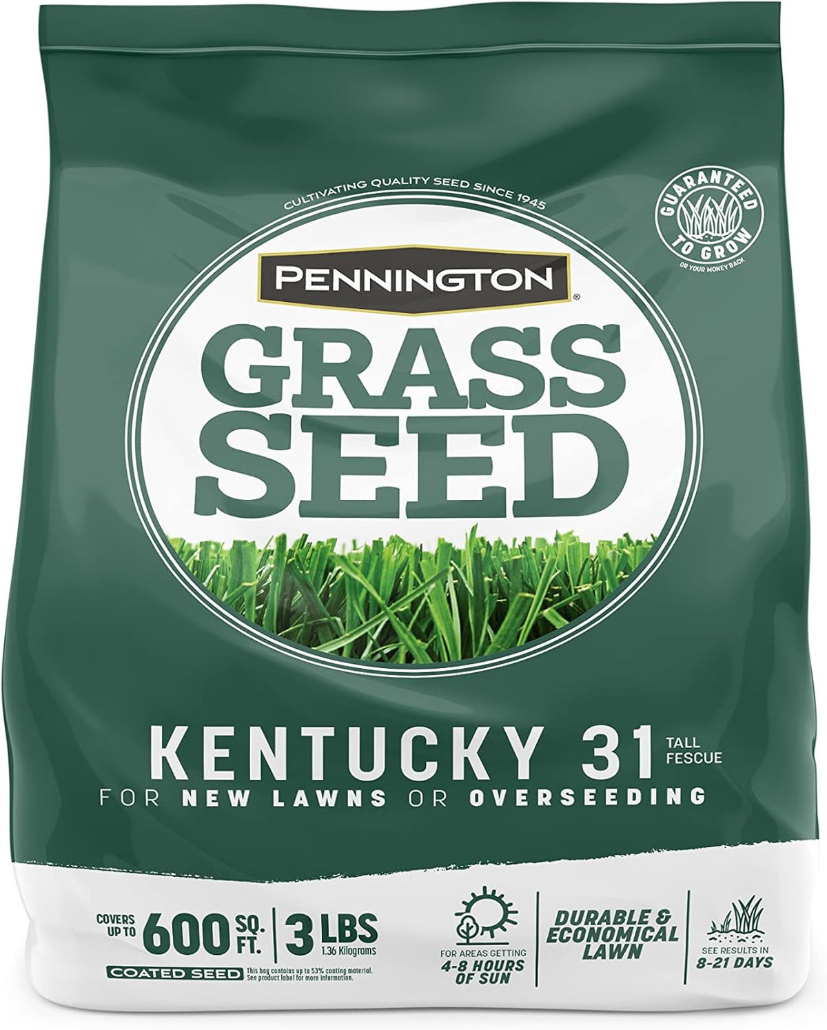 Pennington Kentucky 31 Tall Fescue Penkoted Grass Seed 3 lb