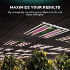 Mars Hydro ADlite UV55&IR30 LED Grow Light for Indoor Plants, 4x4 Ft Coverage Strengthens Plant Resistance, Encourages Flowering, Supplemental for TS3000/FC6500/FCE6500/FC8000/FCE8000/FC1000W/FCE1000W