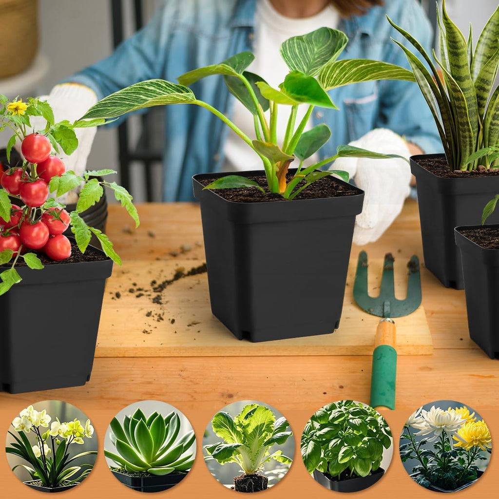 Square Nursery Pots 5.5 Inch, Plastic Plant Pot with Drainage Holes, Reusable Seedling Starter Pots Garden Flower Pots Planters for Indoor Plants, Transplanting, Succulents, Cuttings