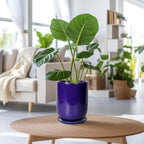 Ceramic Plant Pot - 8 Inch Planter for Indoor Plants Outdoor Flower Pot with Drainage Hole and Saucer Home Patio Office Decor Blue